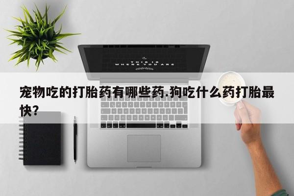 网上购买米非司酮片去哪买宠物吃的打胎药有哪些药.狗吃什么药打胎最快？