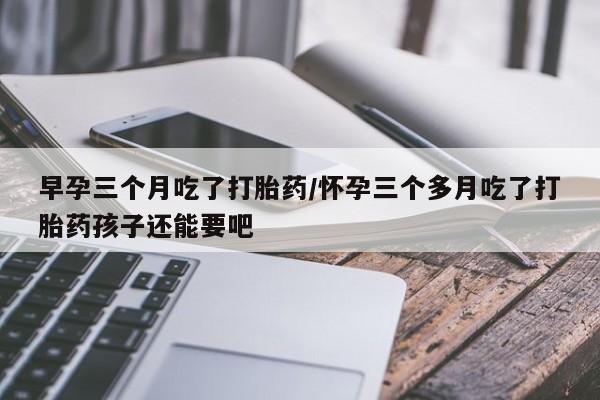 网上购买米非司酮片去哪买早孕三个月吃了打胎药/怀孕三个多月吃了打胎药孩子还能要吧