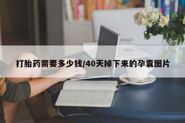 网上购买米非司酮片去哪买打胎药需要多少钱/40天掉下来的孕囊图片